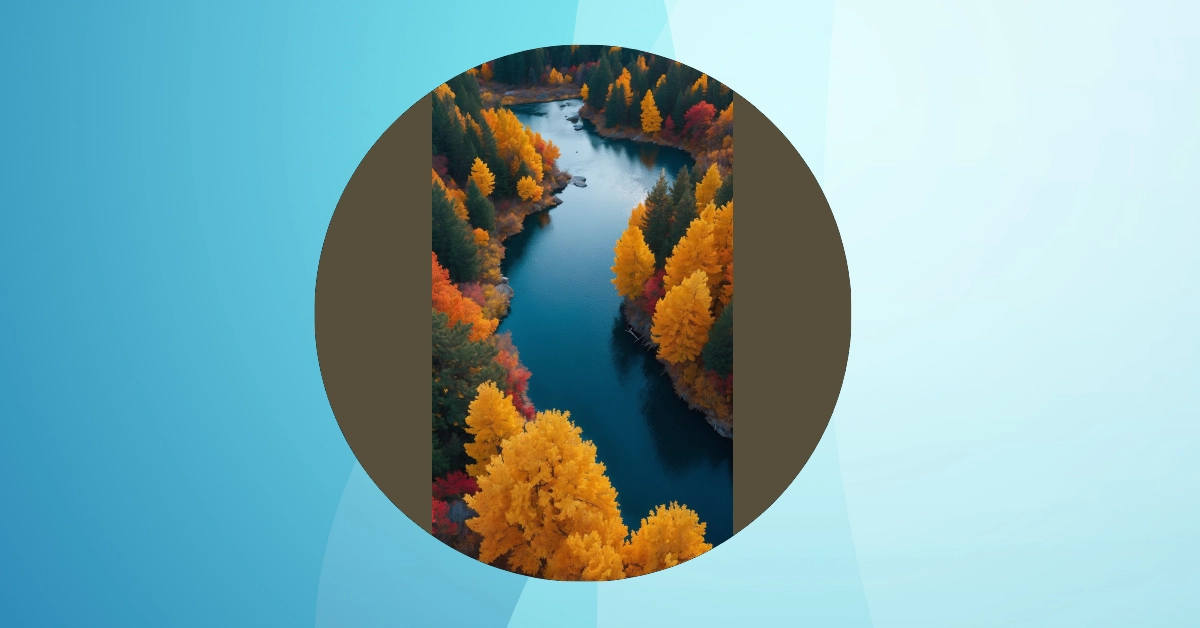 Floral Fantasies: 11 Vibrant Phone Wallpaper Ideas