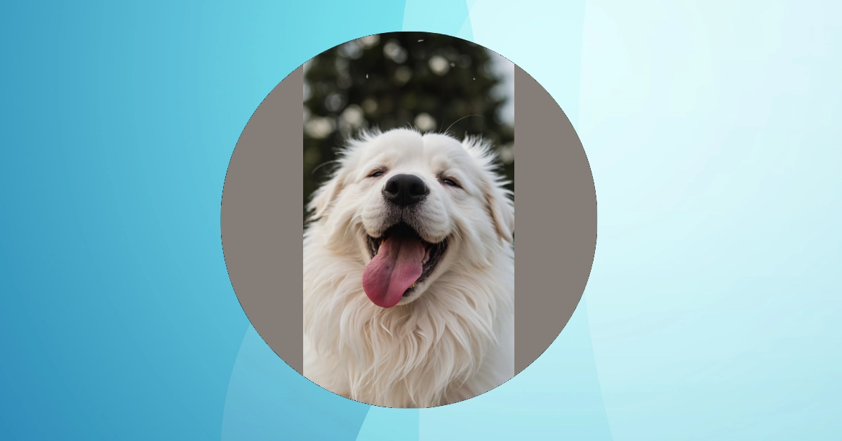 Unleash the Cuteness: 12 Adorable Puppy Wallpaper Ideas