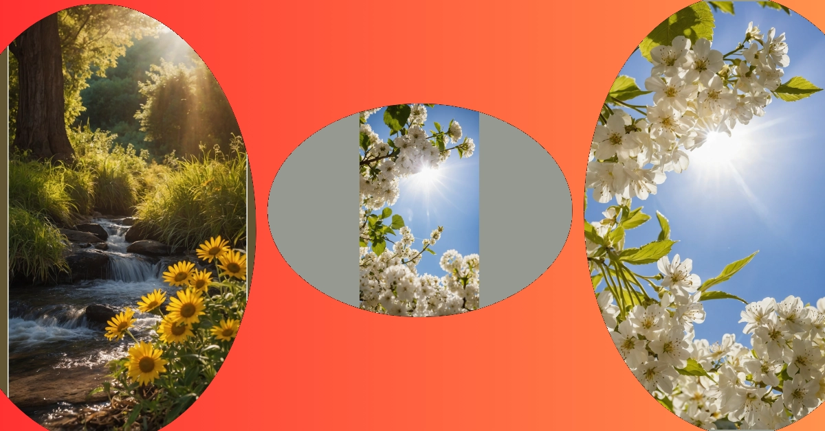 Let’s Get Sunny: 6 Wallpaper Ideas to Lift Your Spirits